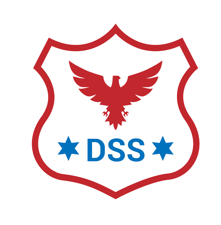 DSS logo